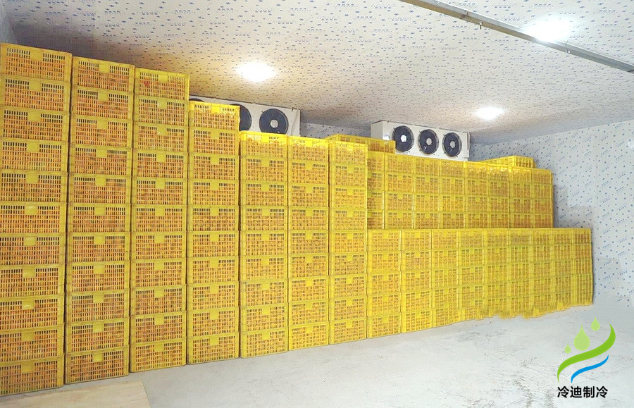 建造一個(gè)橙子冷庫(kù)需要多少錢？(圖2)